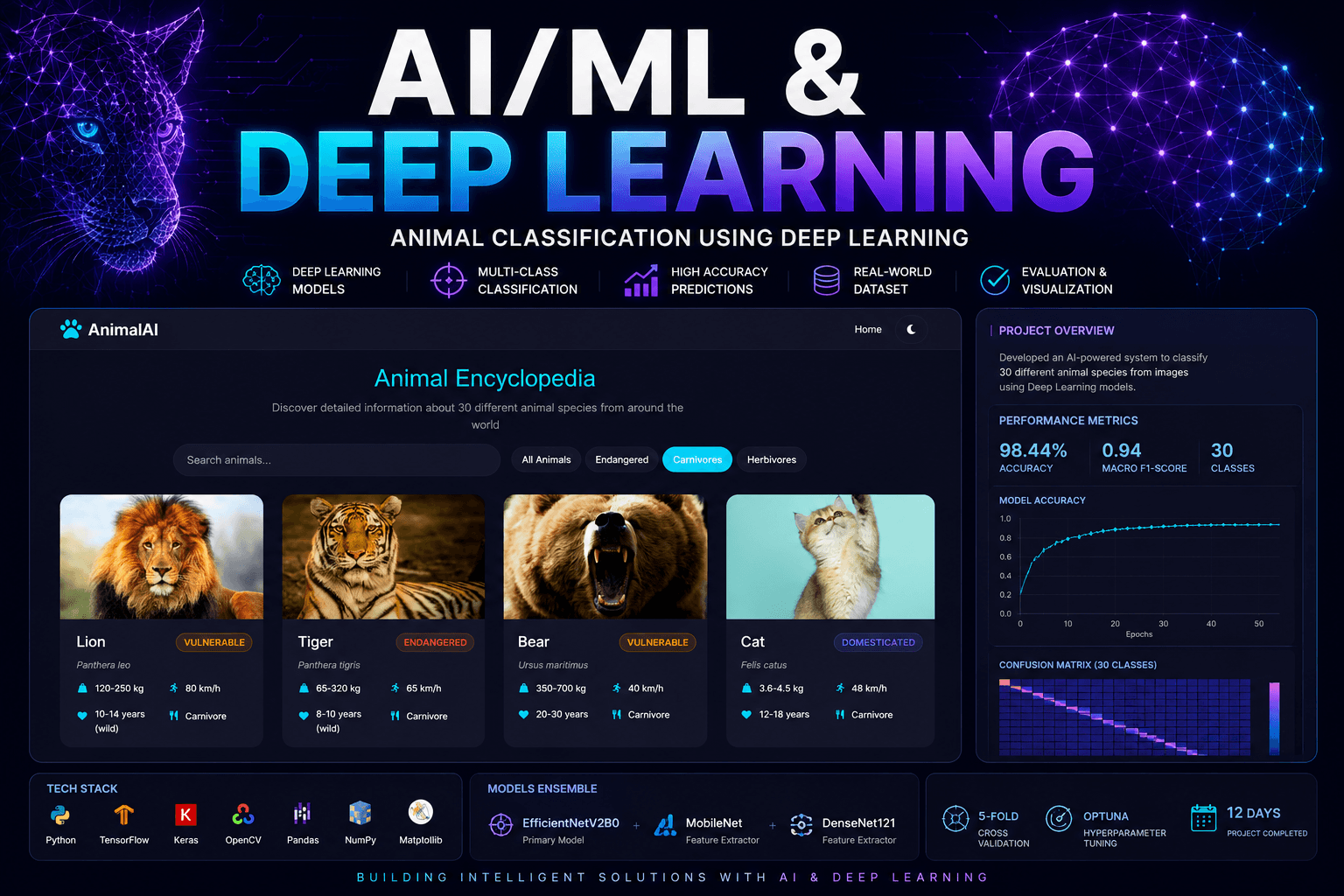 How We Classified 30 Animal Species with 93%+ Accuracy Using Deep Learning