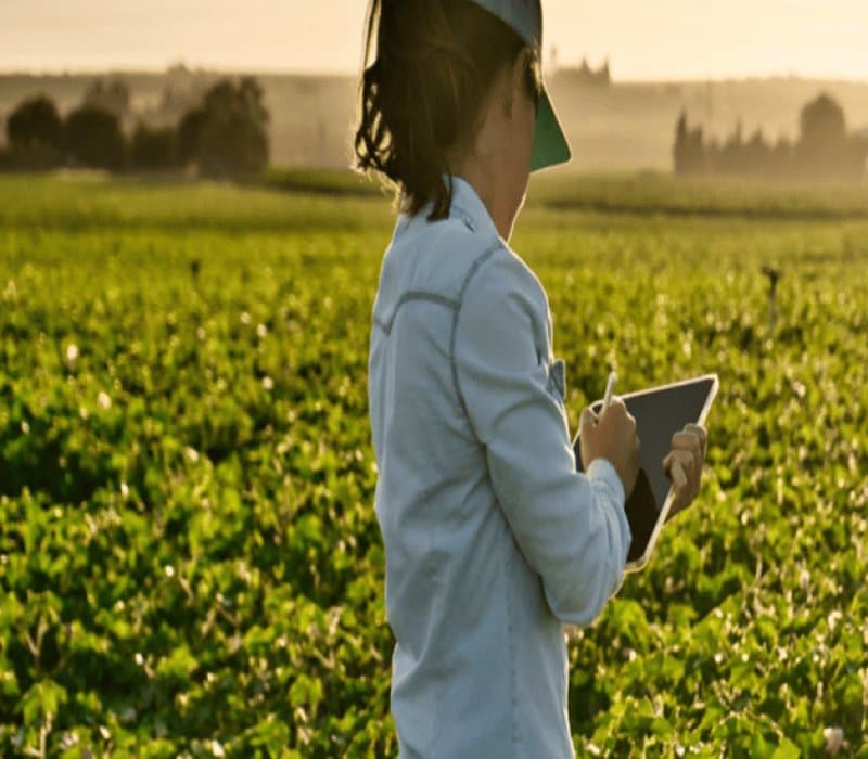 Smart Agriculture IoT System — screenshot 2